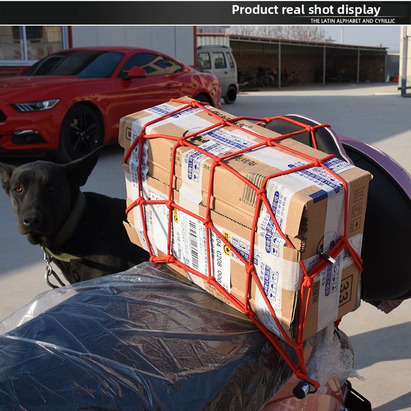 Heavy-Duty Luggage Net - Elast – Car Cargo Net Trunk recenzja i cena